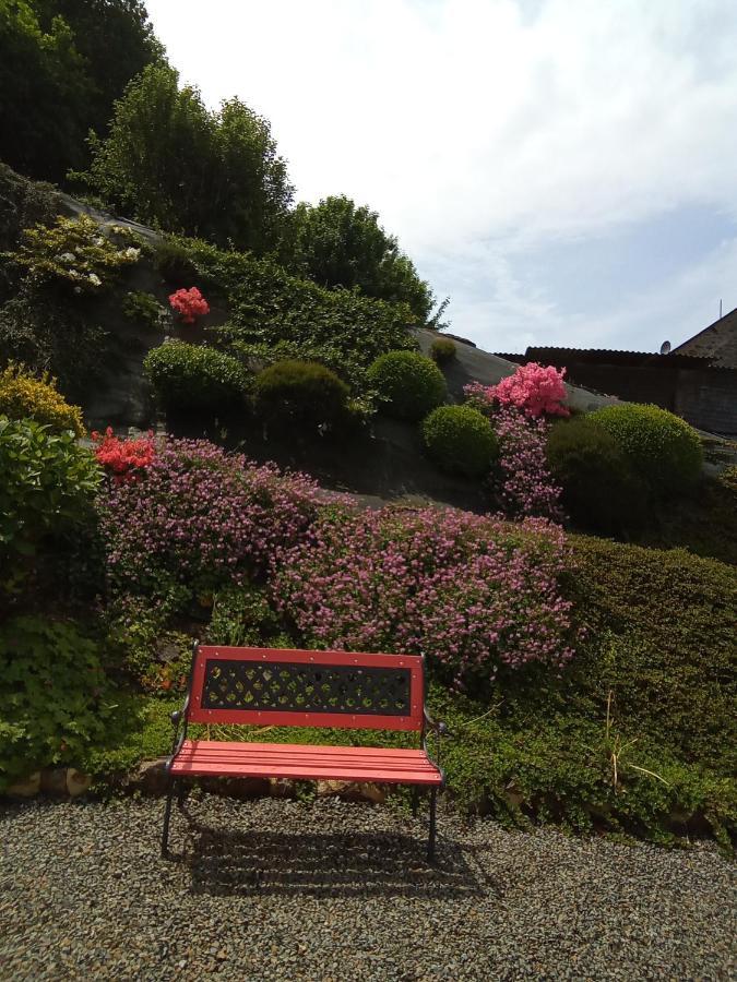 Les Hortensias La Poultiere Exterior foto